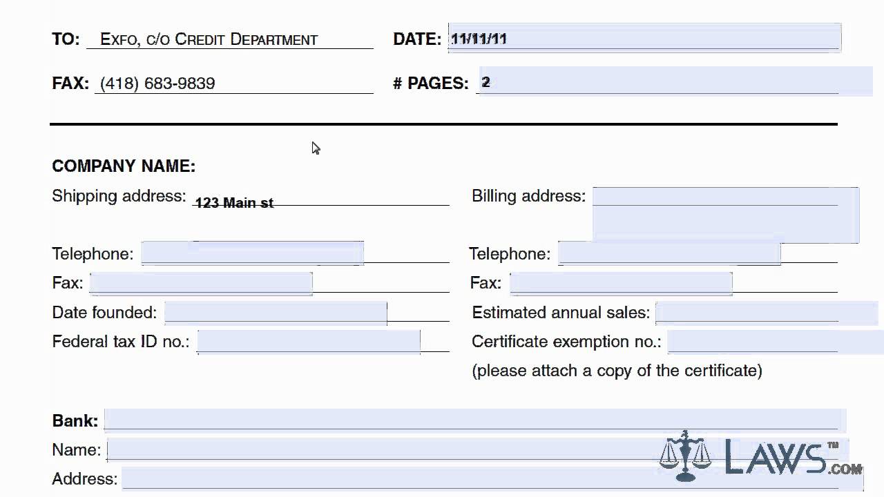 Learn How to Fill the Credit Application form