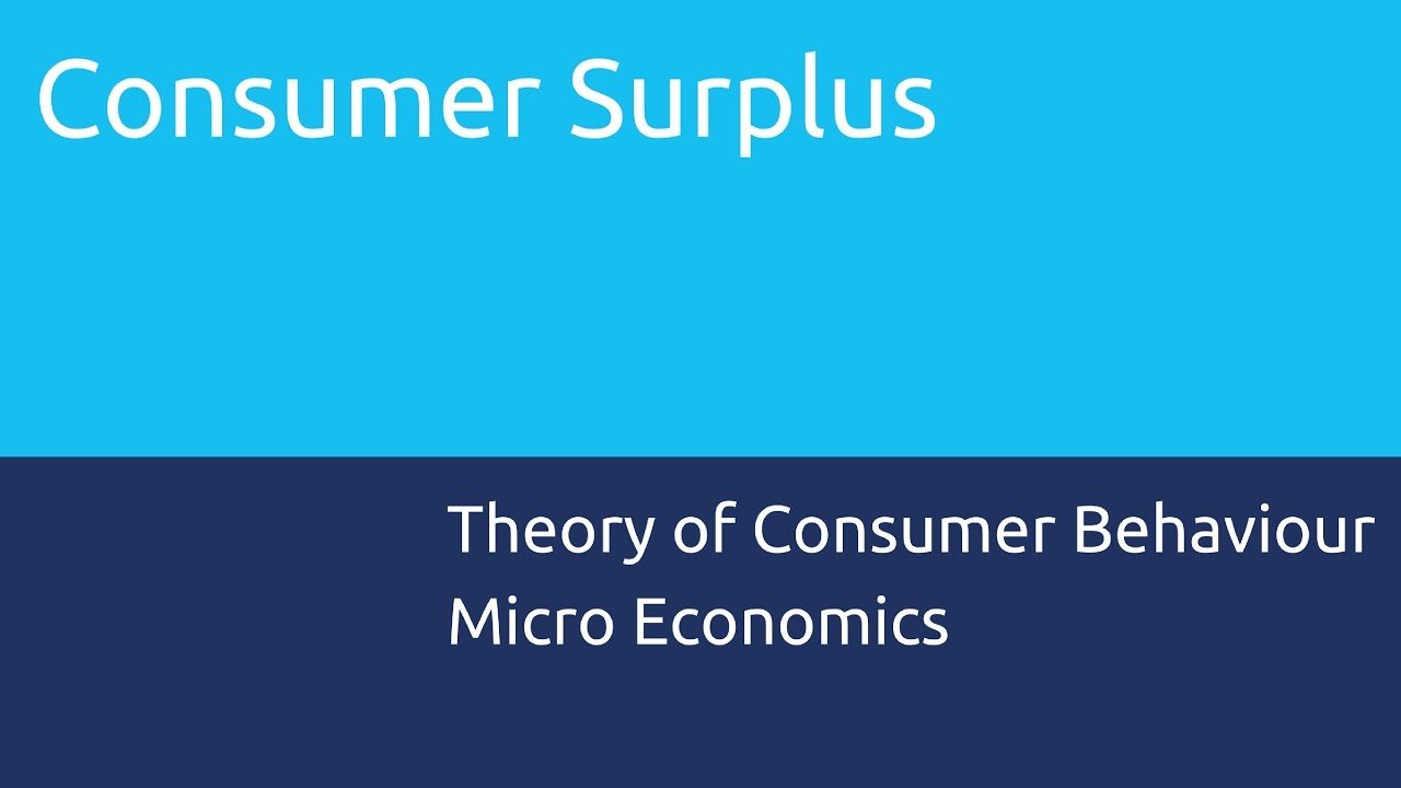 What is Consumer Surplus | Theory of Consumer Behaviour | CA CPT | CS & CMA Foundation | Class 11