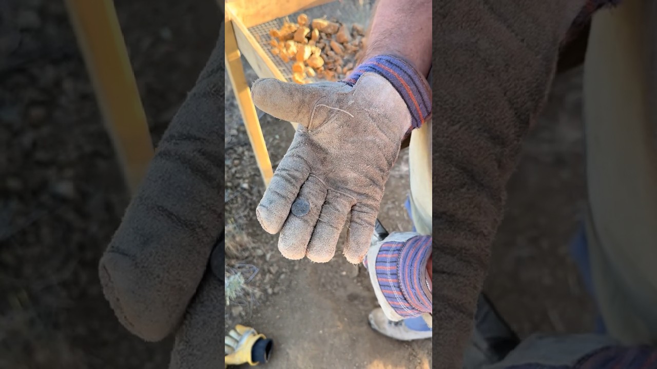 Rare COINS found in gold miners outhouse! #history #digging #metaldetecting #diggingforbottles