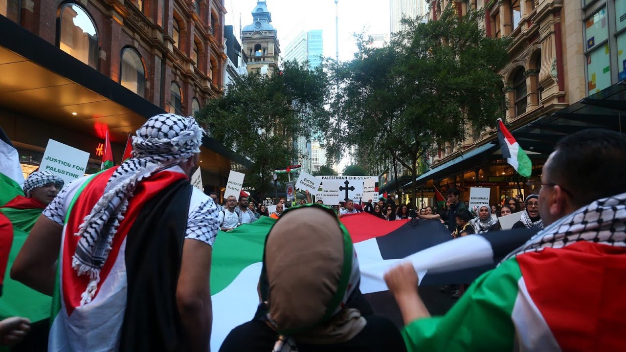 ‘Elitists’ controlling the pro-Palestine narrative