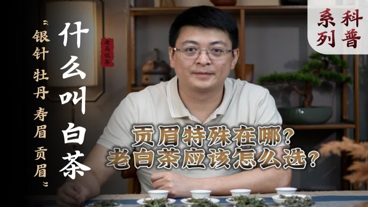 一篇看懂，白茶的派系和所有分类