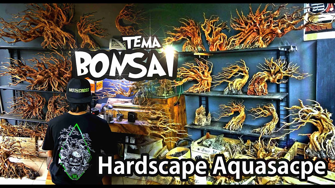Koleksi Hardscape Aquascape . Rasio Family