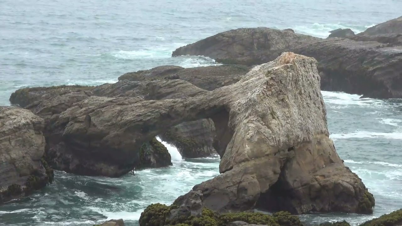 Hiking Point Arena-Stornetta Trail - Mendocino Coast, CA 7/22 (4K)
