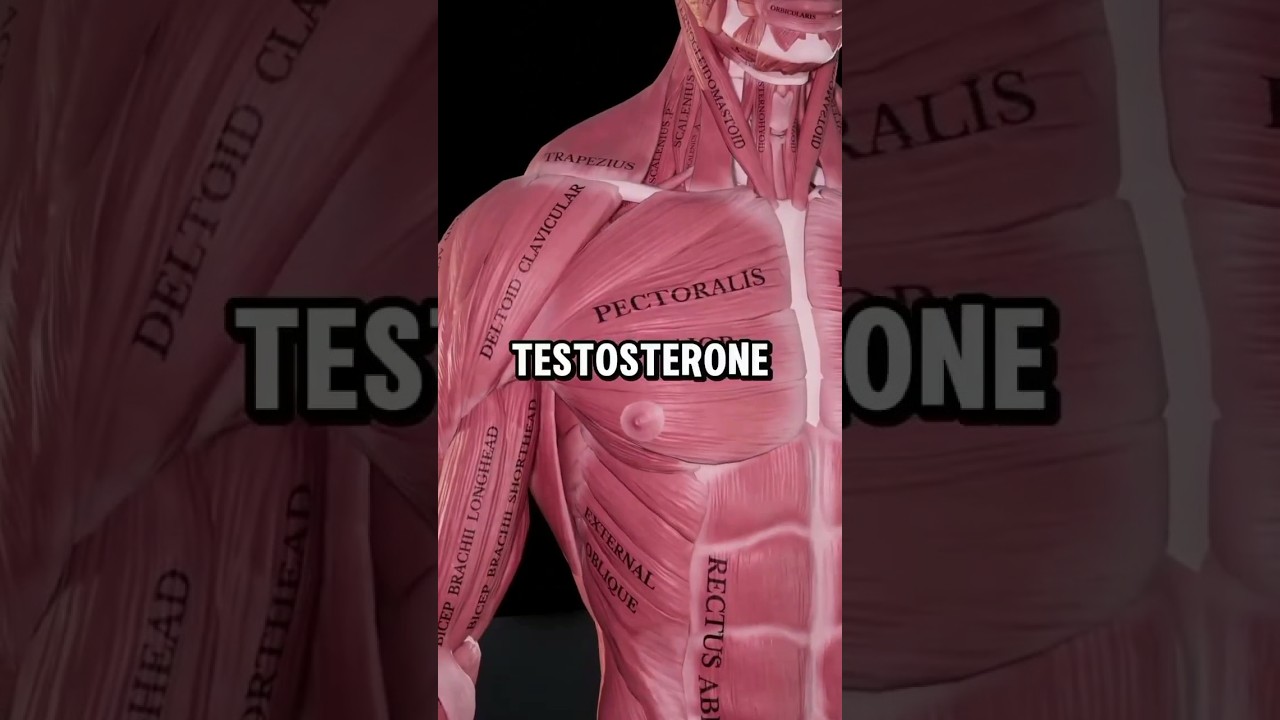 Top 5 Fruits to Boost Testosterone Naturally | Increase Testosterone Fast #shorts #fruits #fitness