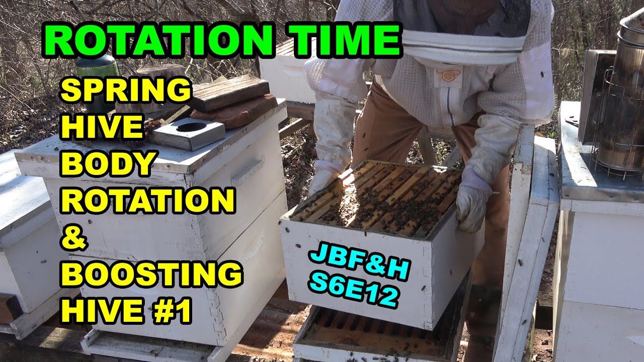 Bee Hive Spring Brood Box Rotation S6E12 #beekeeping