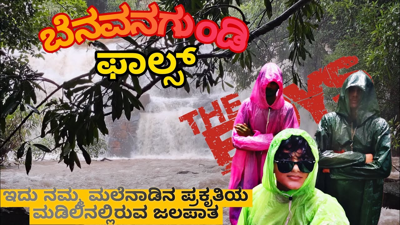 ಇದು ನಮ್ಮ ಮಲೆನಾಡಿನ ಪ್ರಕೃತಿಯ ಮಡಿಲಿನಲ್ಲಿರುವ ಜಲಪಾತ    ಬೆನವನಗುಂಡಿ ಫಾಲ್ಸ್ | near Jog falls 🚨 |Jog falls