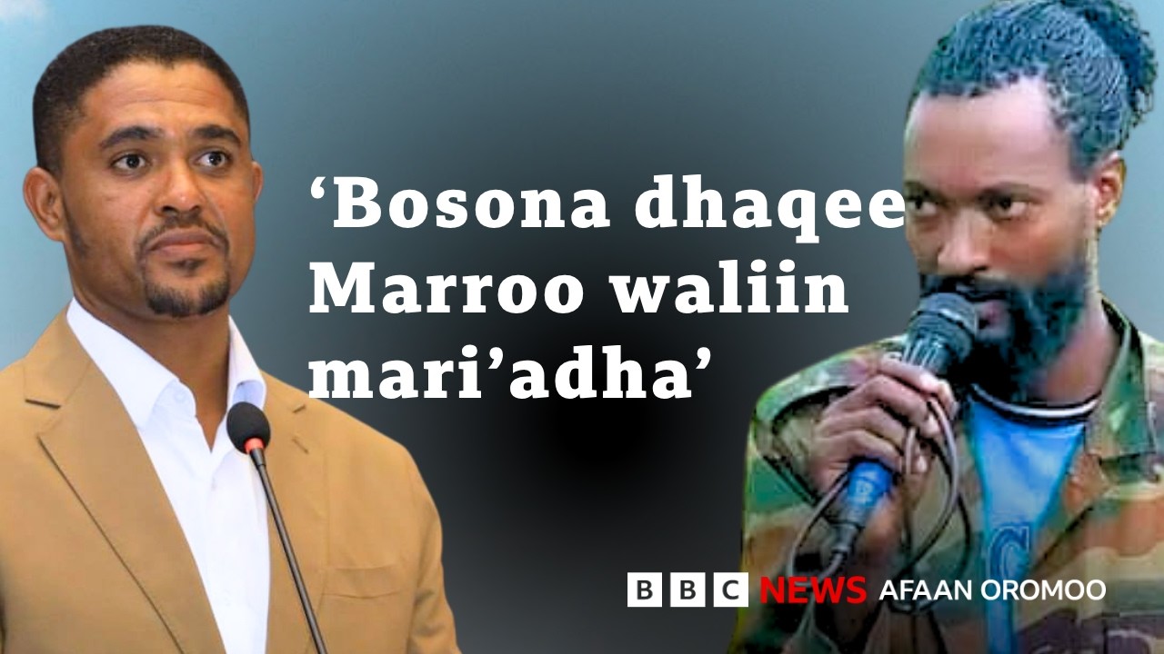 Obbo Shimallis Marroo waliin mari'achuuf qophiidha jedhan, WBO'n maal jedha? | BBC News Afaan Oromoo
