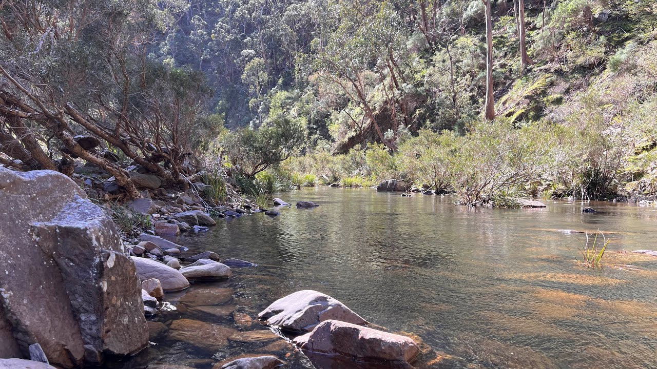 Lerderderg Gorge - Thrilling Bears Head Track, Challenging River Hike, and Brutal Ah Kow Track