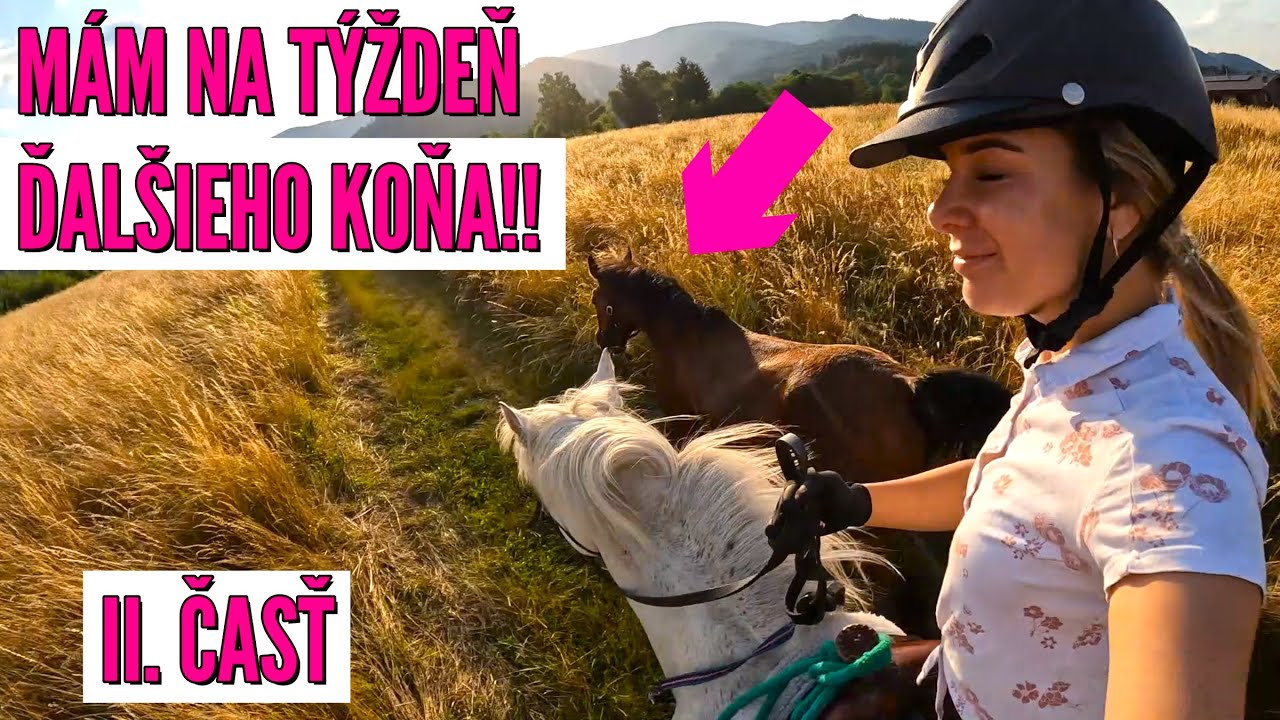 Mám na týždeň ďalšieho koňa🐎 + výlet na Šútovské jazero🌊🐶  II. časť 🎥| video so psami a koňmi