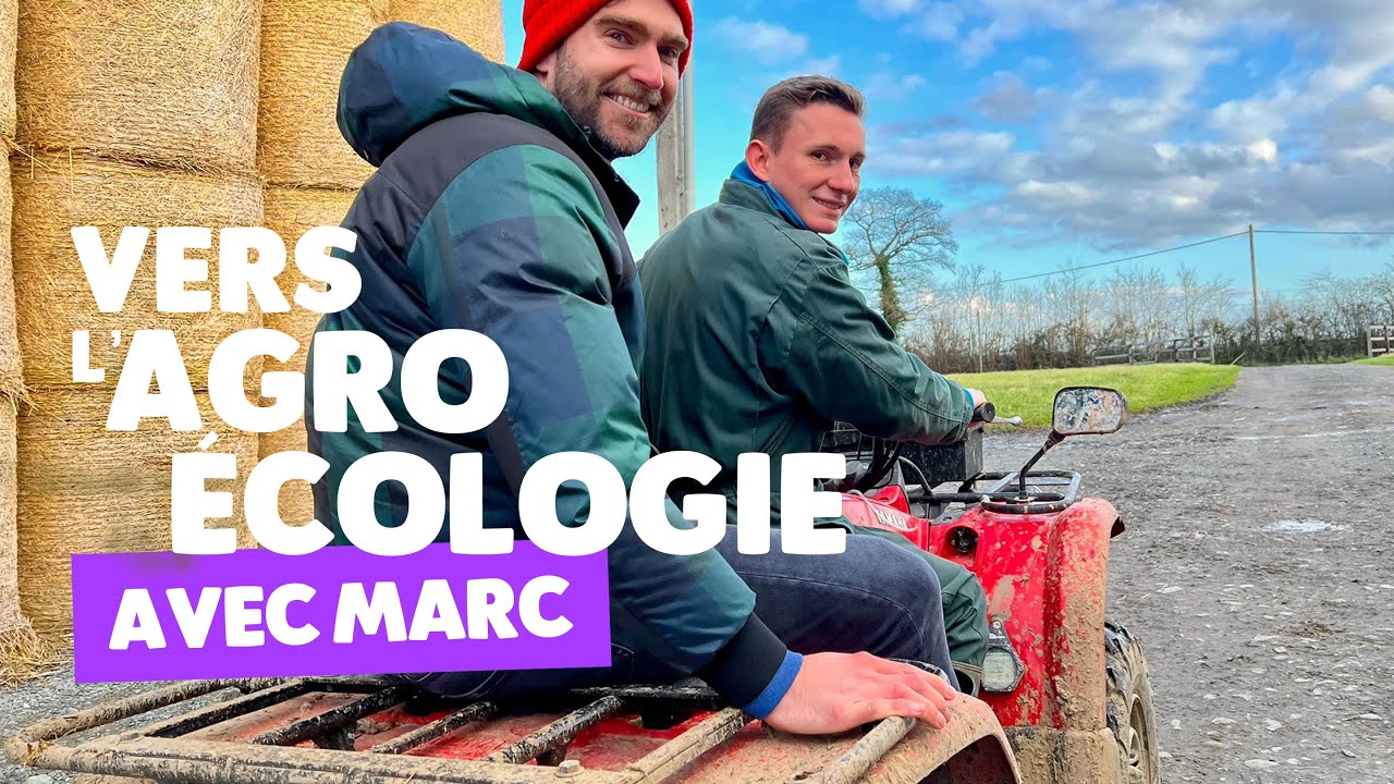Marc vers l'agriculture de conservation : tout sur sa transition