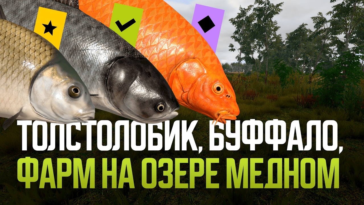 Толстолобик (лайт), Буффало и фарм Медном. Осталось 30 500 серебра ● Русская рыбалка 4 ● Перчик РР4