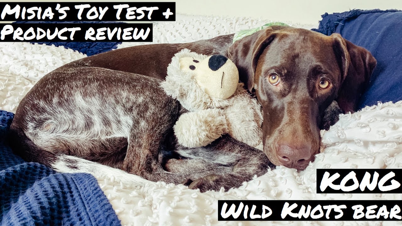 KONG Wild Knots Bear | Dog Toy Review