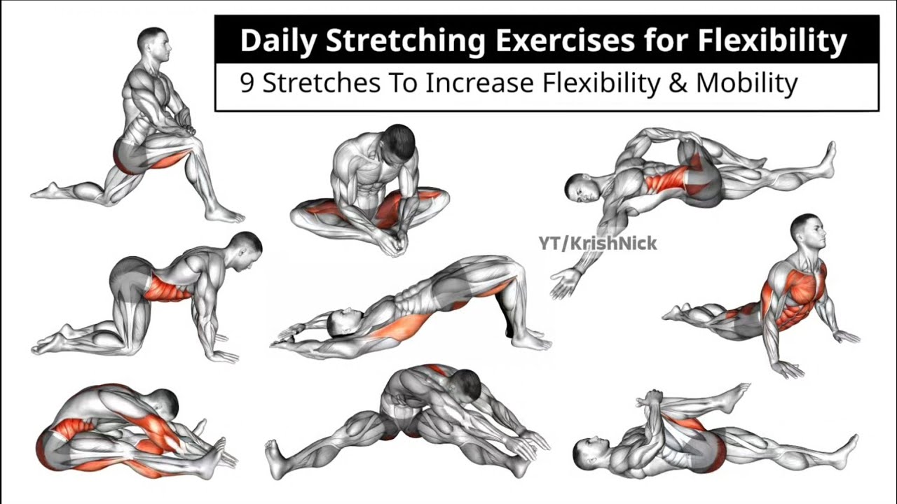 Daily Stretching Exercises for Flexibility | 9 Stretches To Increase Flexibility & Mobility