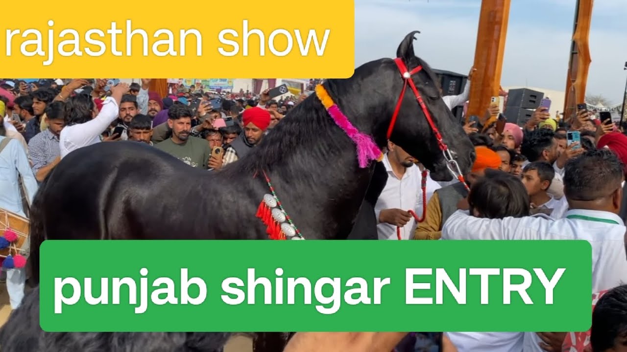 Punjab shingar entry at Rajisthan show