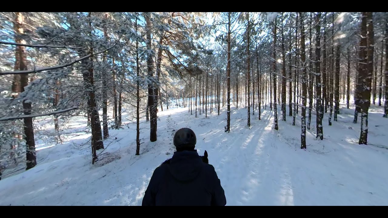 360° VR Reiten im Winterwunderland Fuchsberg Mietgendorf bei Berlin