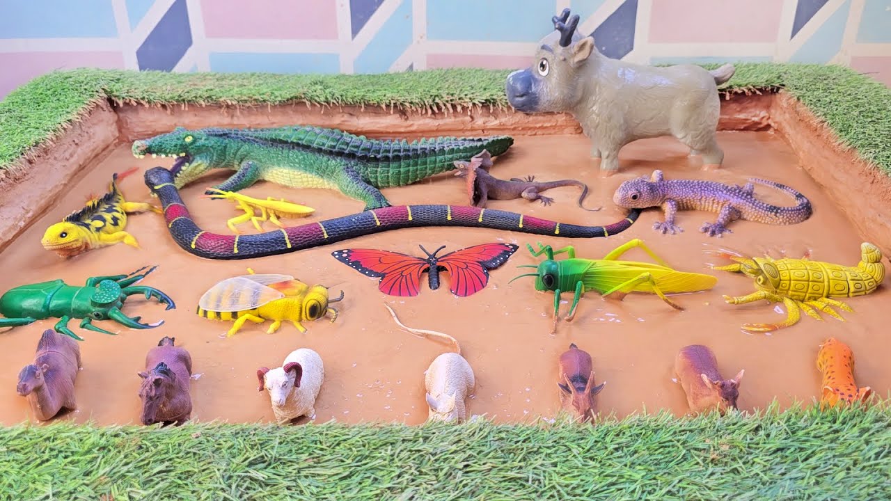 A Sensory Adventure with Slithery River Animals and Scaly Reptiles in Sandbox