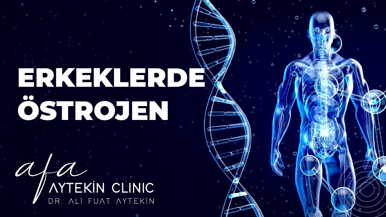 Erkeklerde Östrojen Hormonu