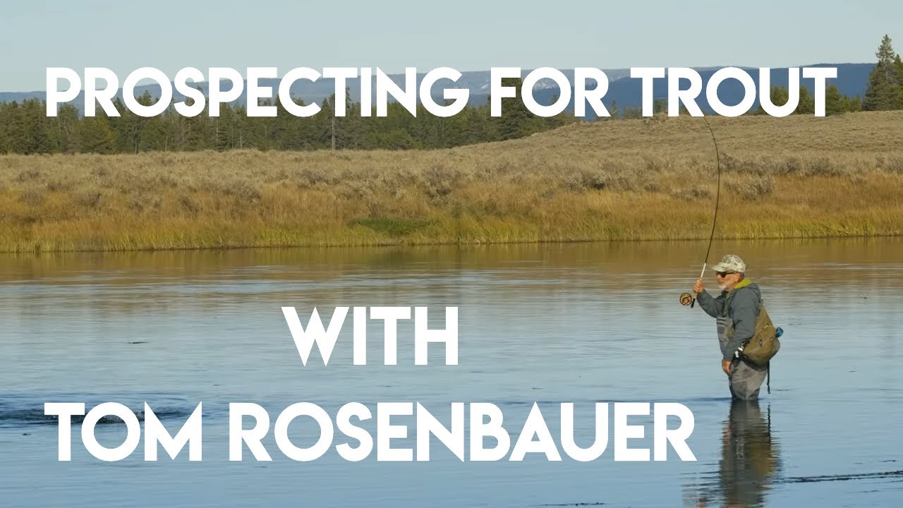 Prospecting for Trout with Tom Rosenbauer