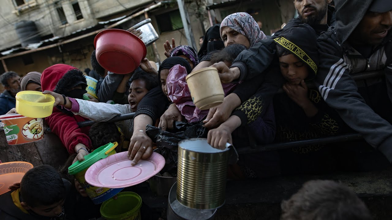 Metade da população da Faixa de Gaza está em situação de fome catastrófica