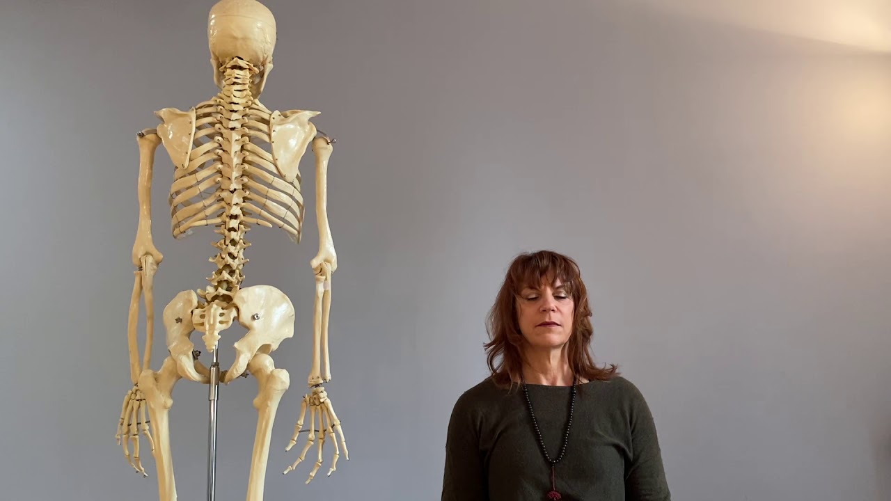 Meditation: Spine awareness (Annie Weisbrod)