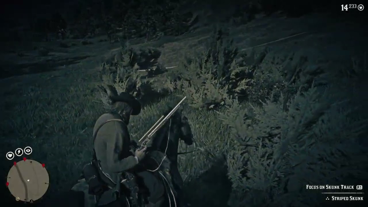 Red Dead Redemption 2_hunting requests 4