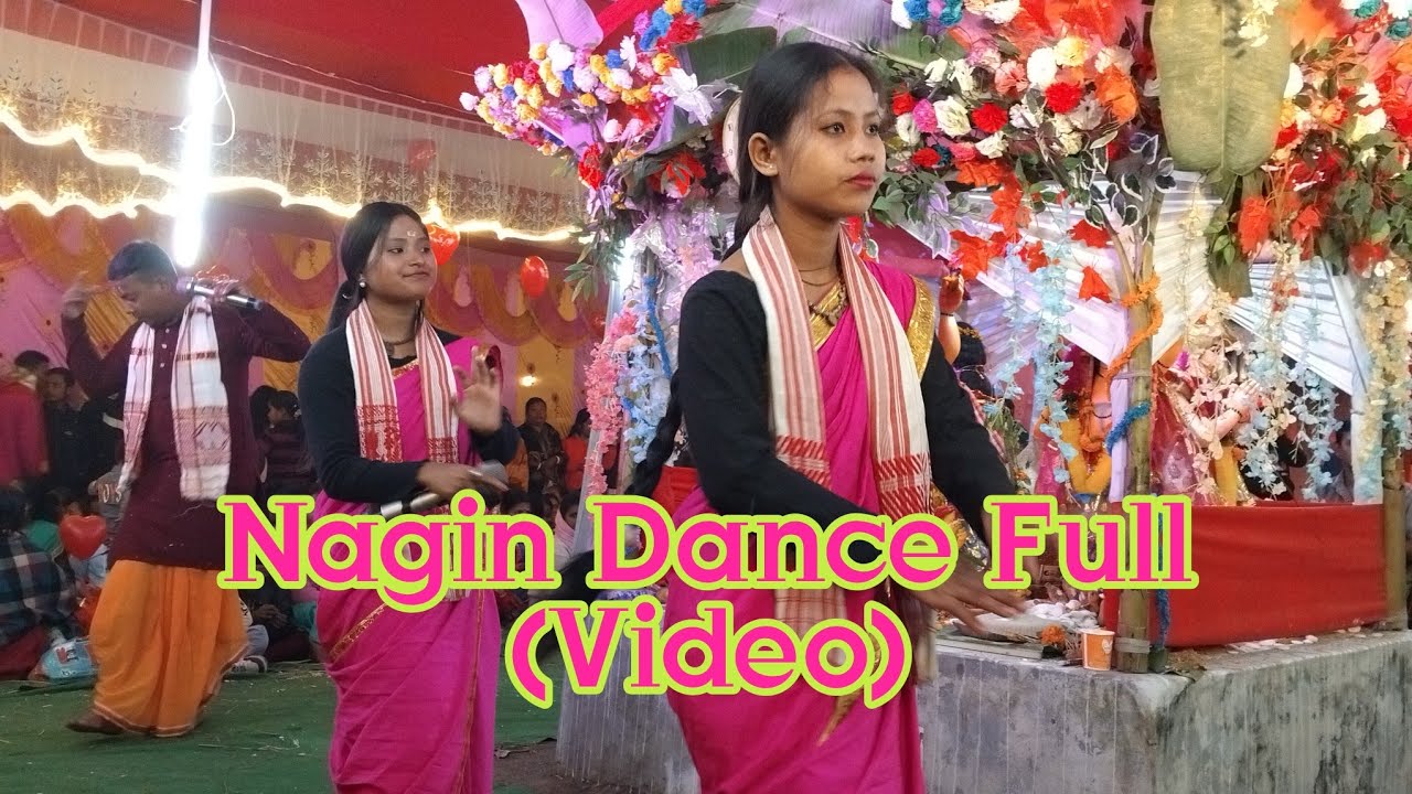 নাগিন ডান্স ফুল (ভিডিও llNagin Dance Full (Video❤️ 2026
