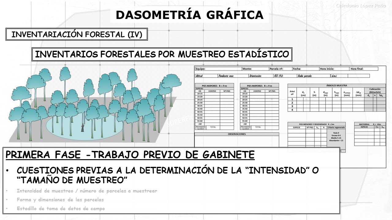INVENTARIO FORESTAL MUESTREO 1ª FASE. CUESTIONES PREVIAS A DETERMINAR EL TAMAÑO DE LA MUESTRA