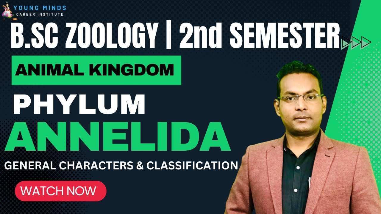 B.Sc Zoology | Phylum Annelida | General Characters & Classification