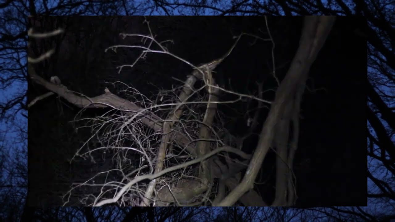 For Breakfast - Heavy Horse Museum