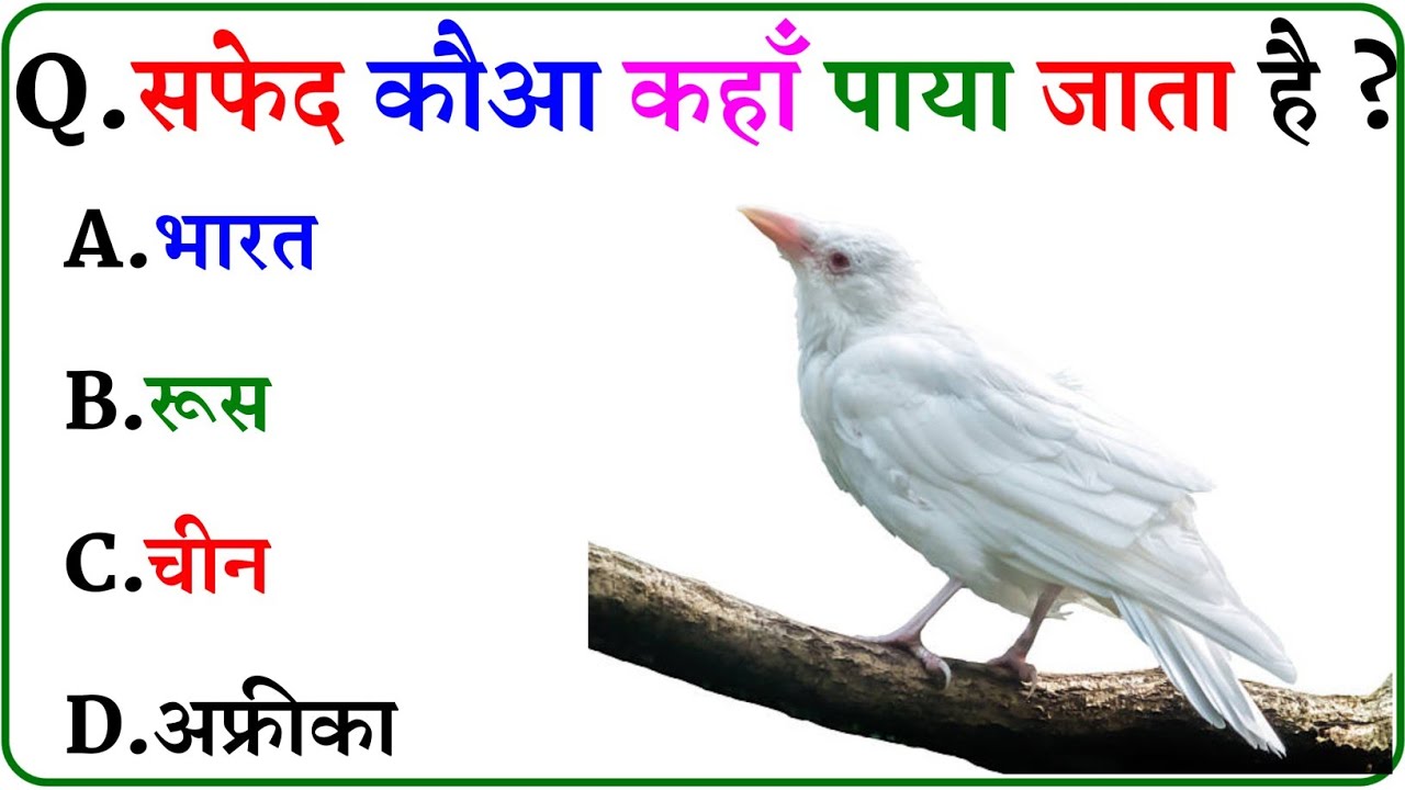 GK Question || GK In Hindi || GK Question and Answer || GK Quiz ||