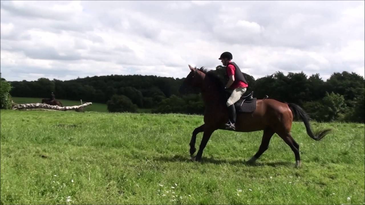 Skovvang's Miró militarykursus og stævne