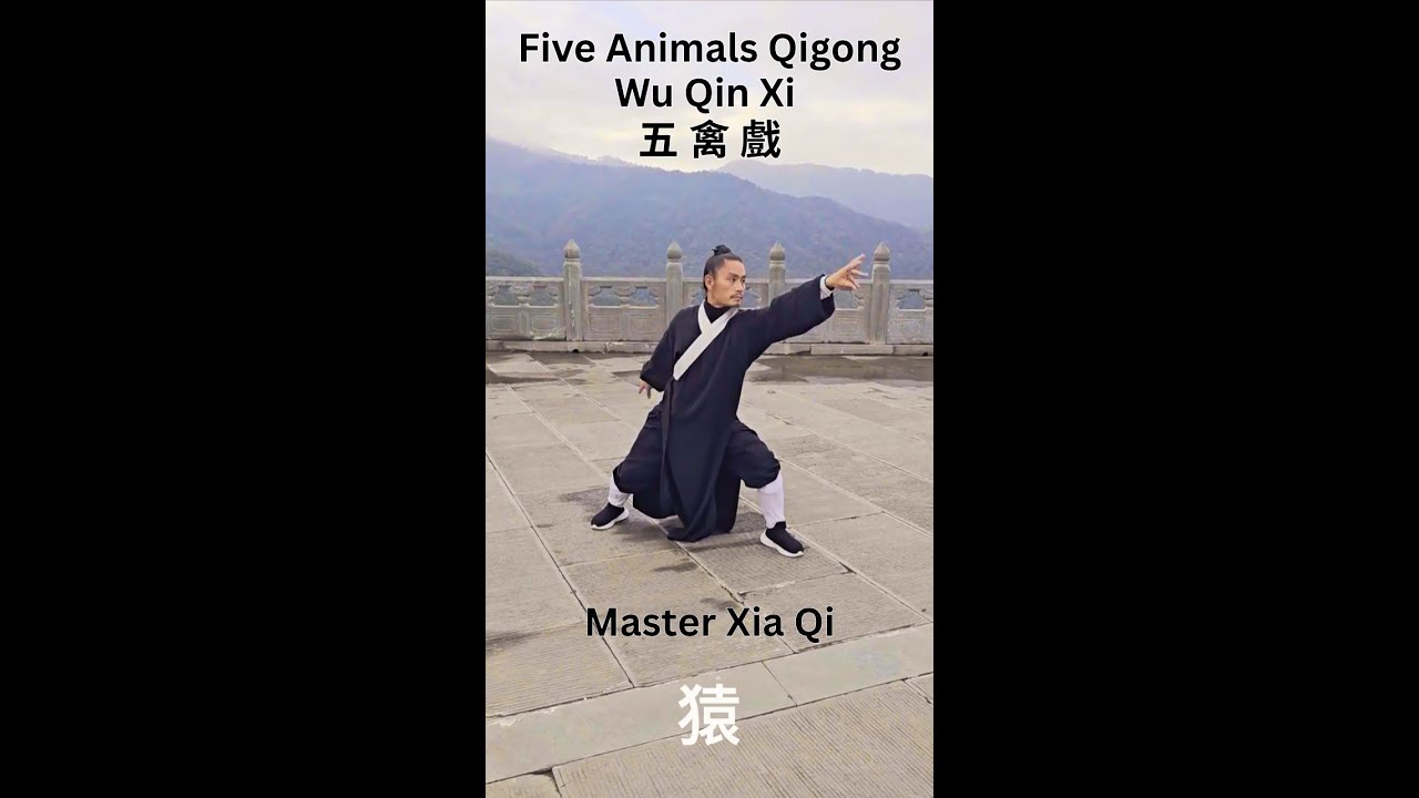 The 5 Animals Qigong Practice with Master Xia Qi - Wu Qin Xi 五 禽 戲