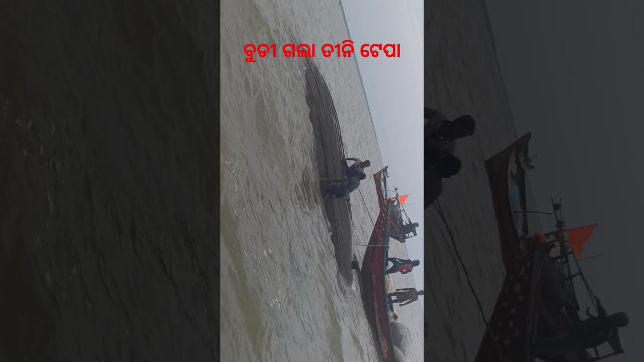 Floods boat #fishing #fish #flood #boat #shorts #viralvideo #netfishing