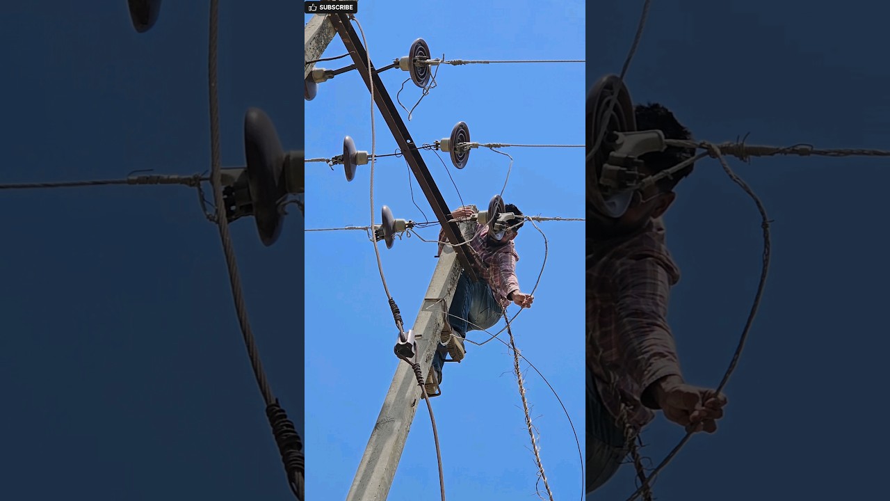 11KV Line || Jumpering Work || #ytshorts #lineman #electrician #highvoltage #top