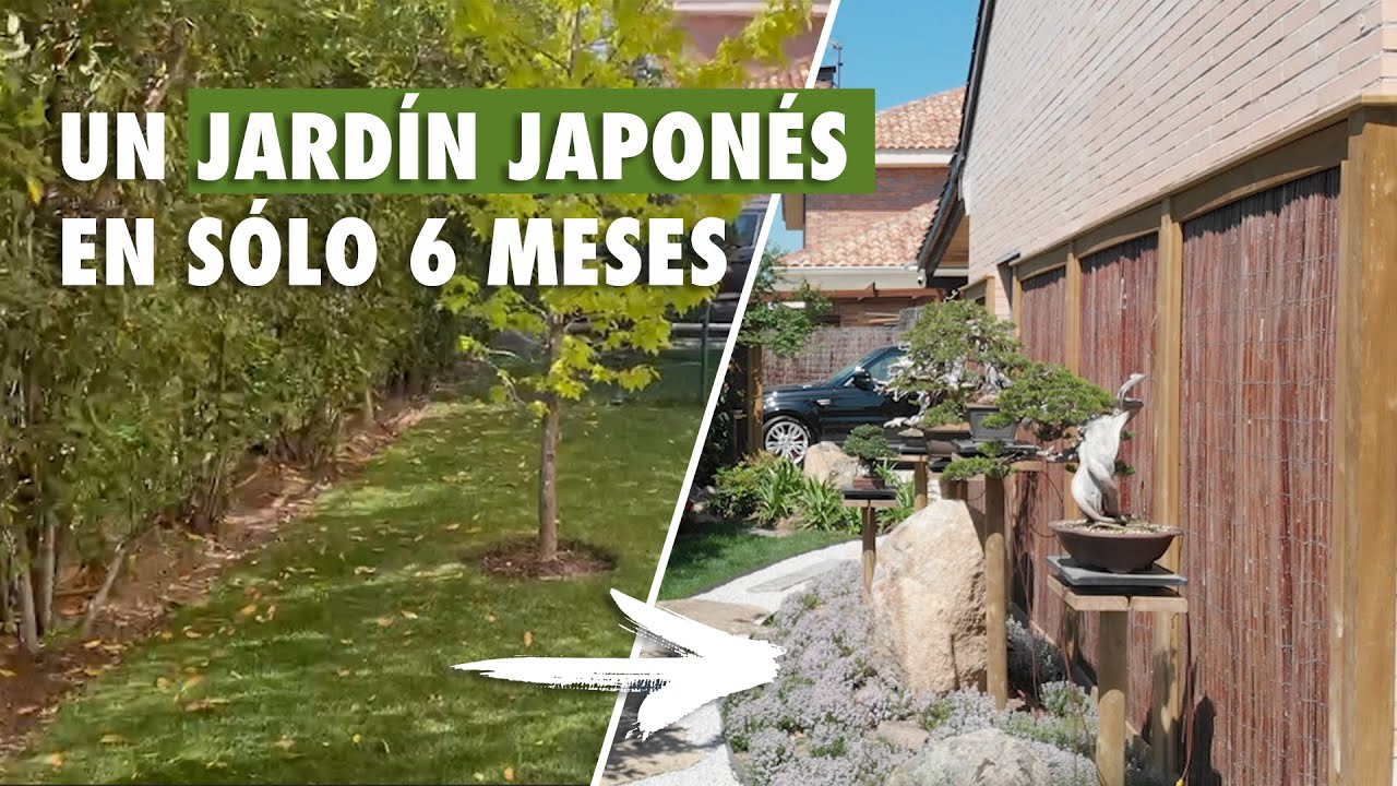Un jardín japonés espectacular en solo 6 meses