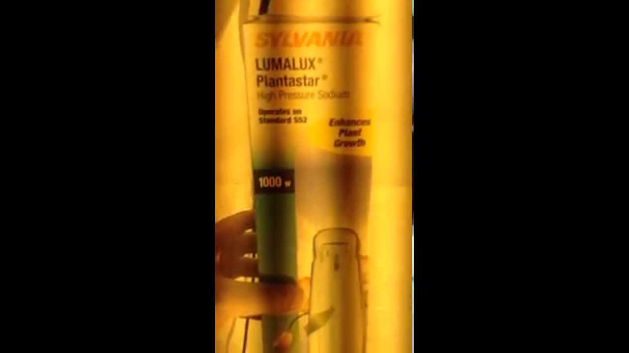 Sylvania Lumalux plantastar HPS Bulb Review and Opinion 2015