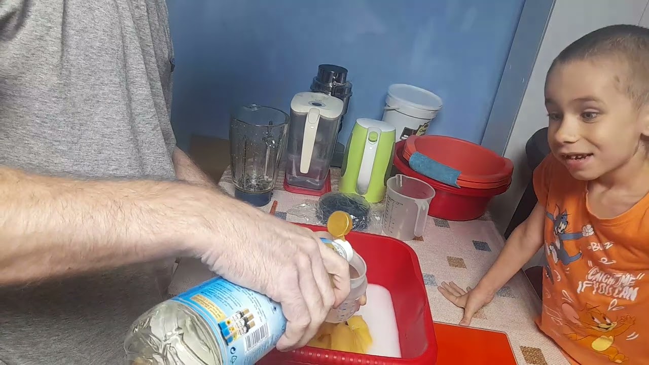 Reteta turta proteica , pentru albine . Albine in luna August .