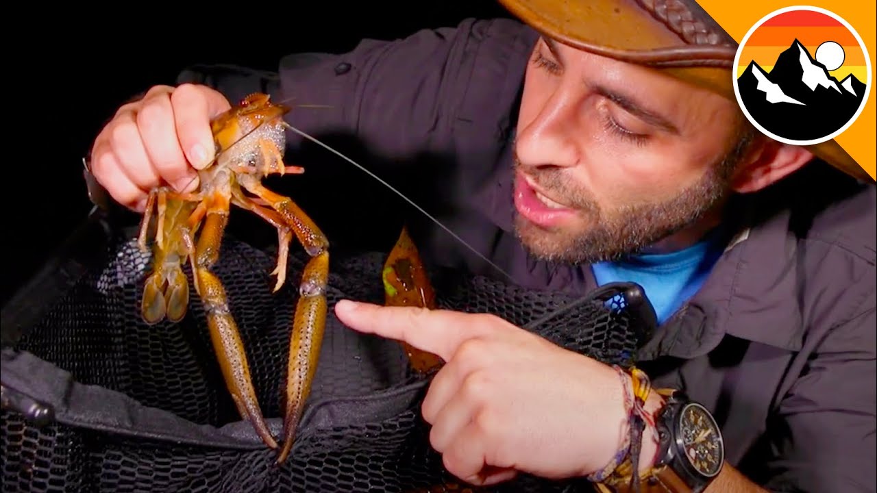 GINORMOUS River Shrimp!