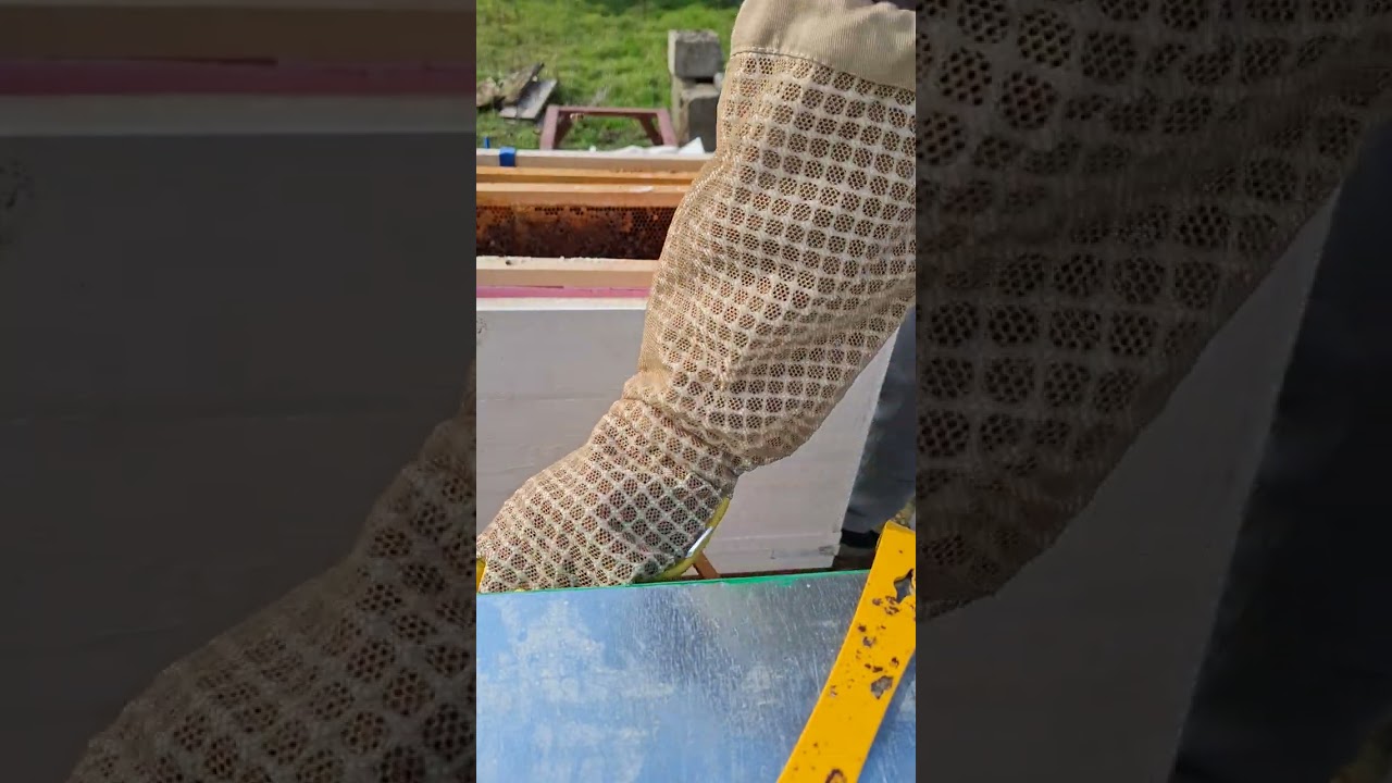 Partea 2 Situația la urmatorul este bine 🐝🐝🐝🐝🐝🐝