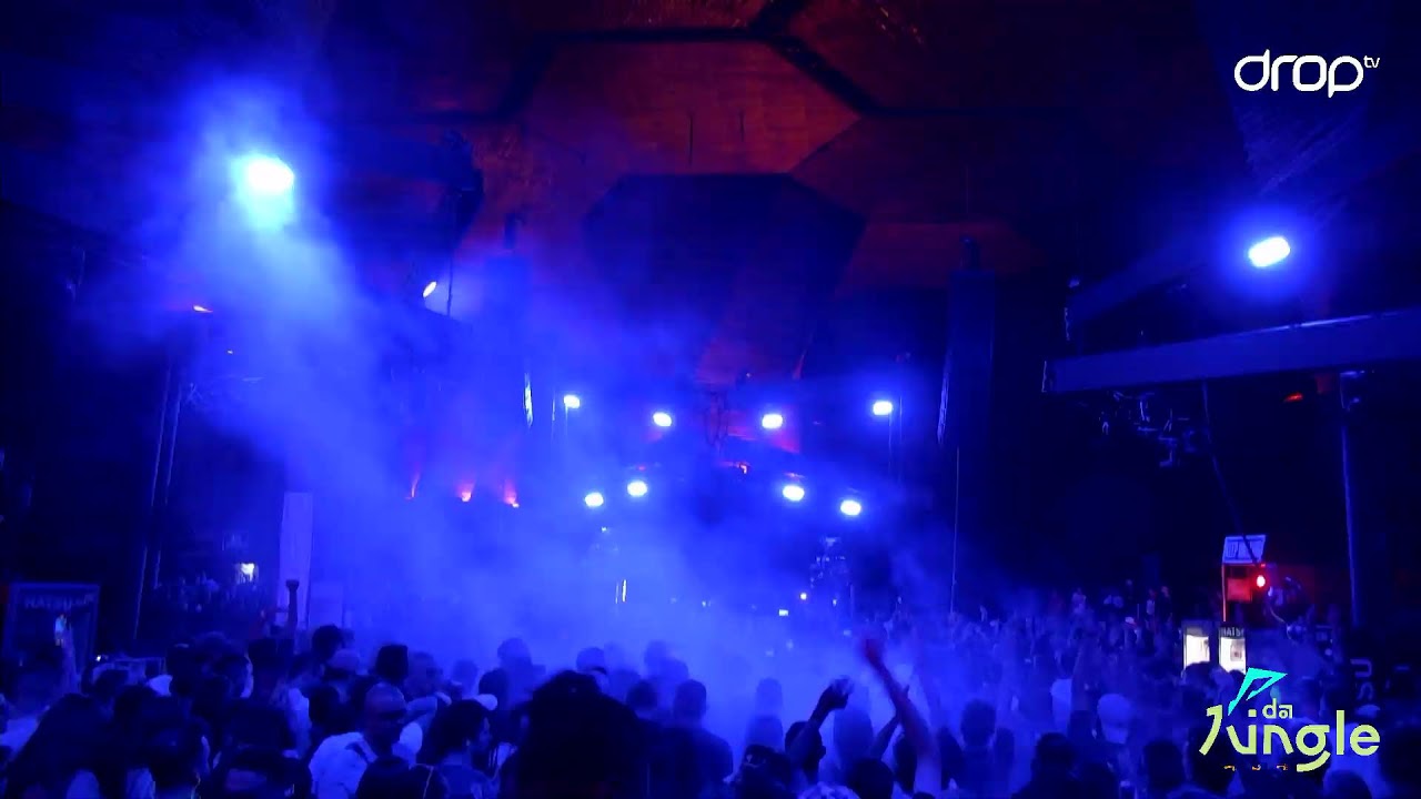 Dino Sabatini (LIVE) 👽 INDAJUNGLE222