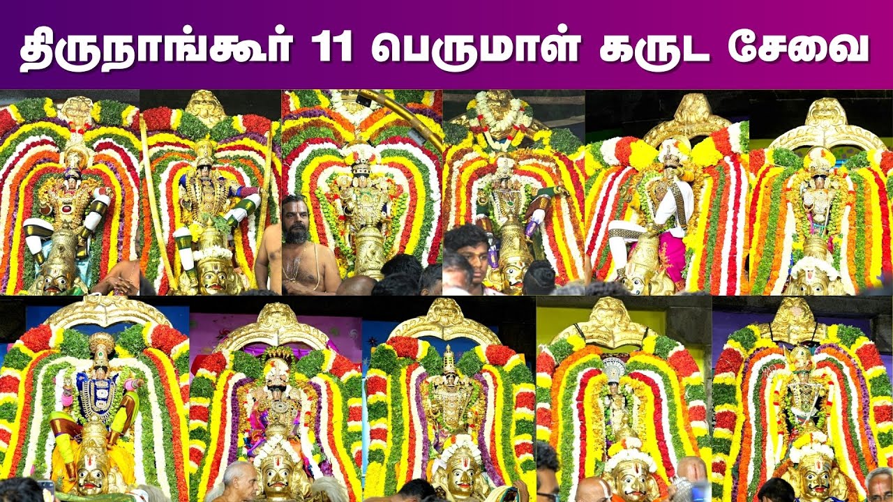 திருநாங்கூர் 11 பெருமாள் கருட சேவை 2025 | Garuda sevai utsavam | ThiruNangur |