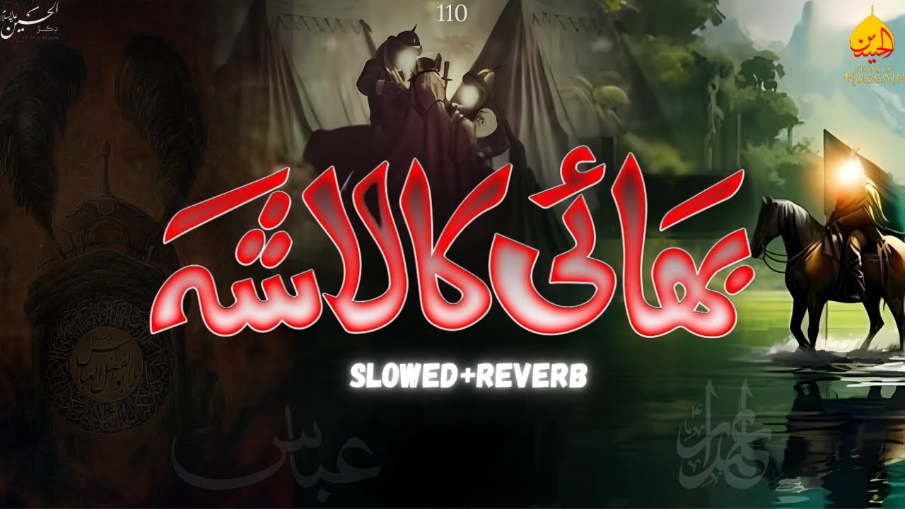 Bhai Ka Lasha | Mir Hasan Mir Noha | Slowed+Reverb+Lyrics  | Tears Of Hussain