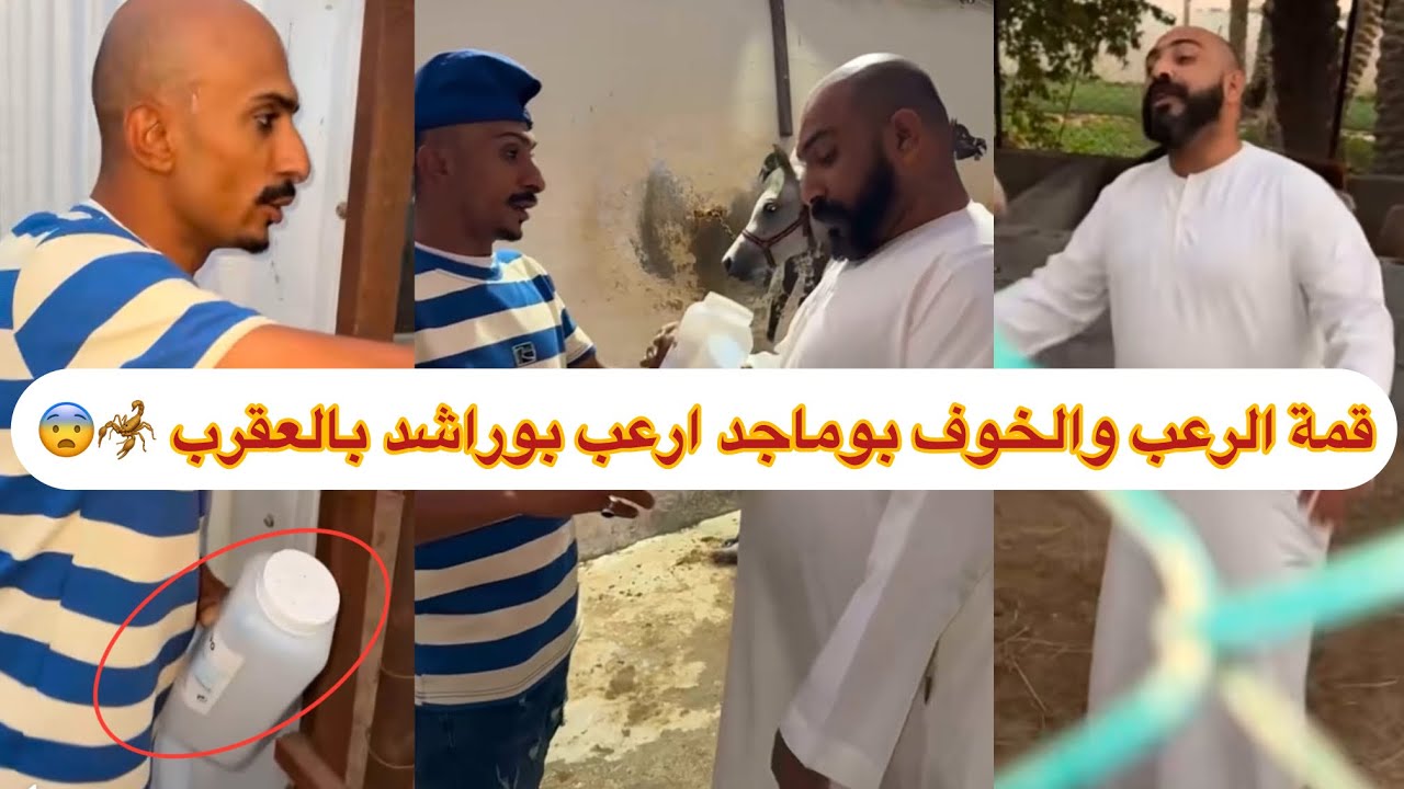 قمة الرعب والخوف بوماجد ارعب بوراشد بالعقرب 🦂😨😨 #ابتاه