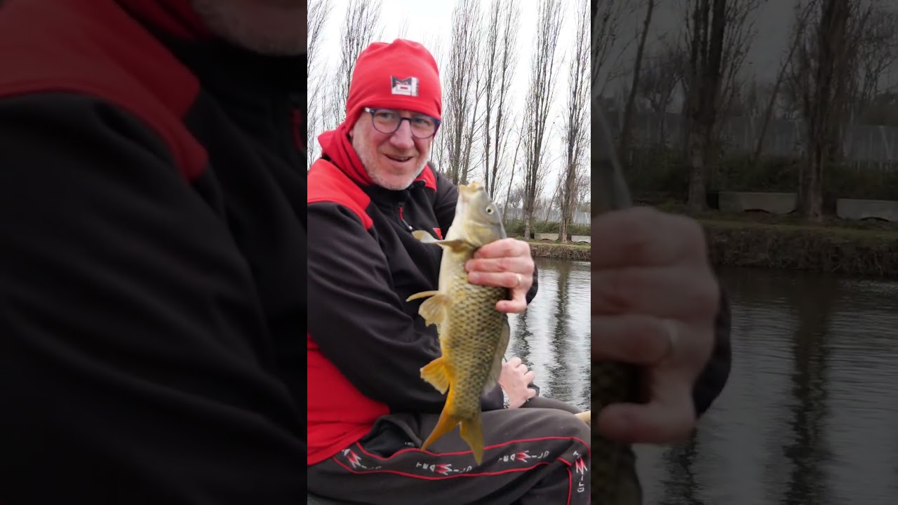 INGLESE IN LAGHETTO 💥 POCHE NOZIONI PER TANTI PESCI #fishing #pesca #fishingvideo #fishinglife
