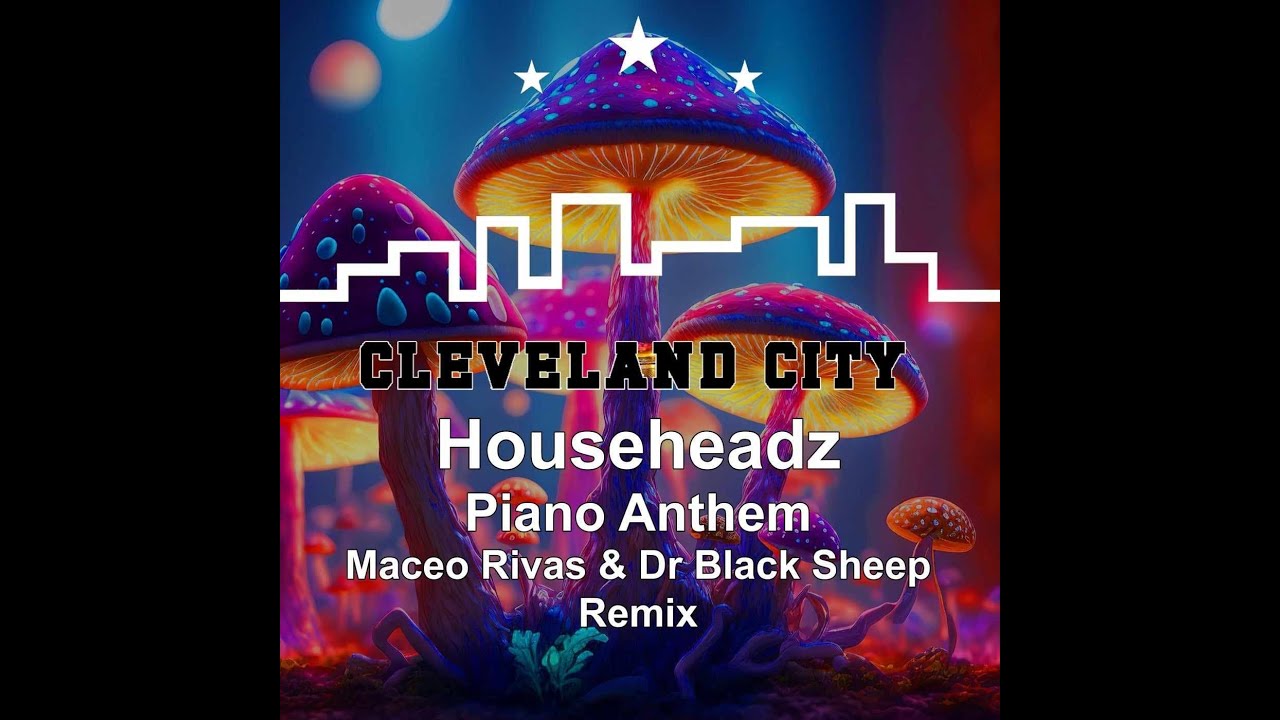 Househeadz - Piano Anthem (Maceo Rivas, Dr Black Sheep  Remix) BREAKBEAT 2024