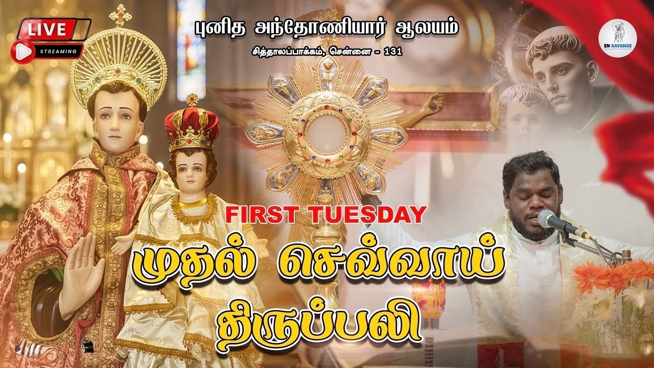 🔴 LIVE | முதல் செவ்வாய் திருப்பலி | St Antony First Tuesday Special Healing Adoration & Novena Mass