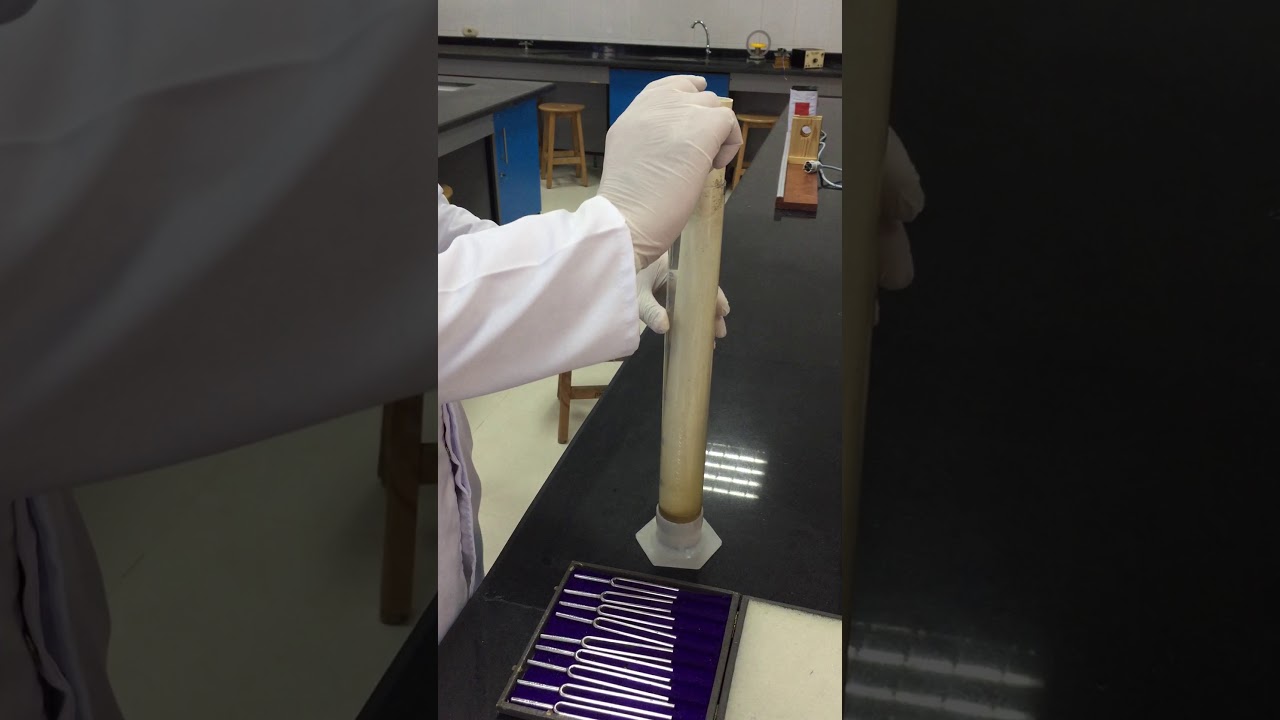 تجربة الصوت