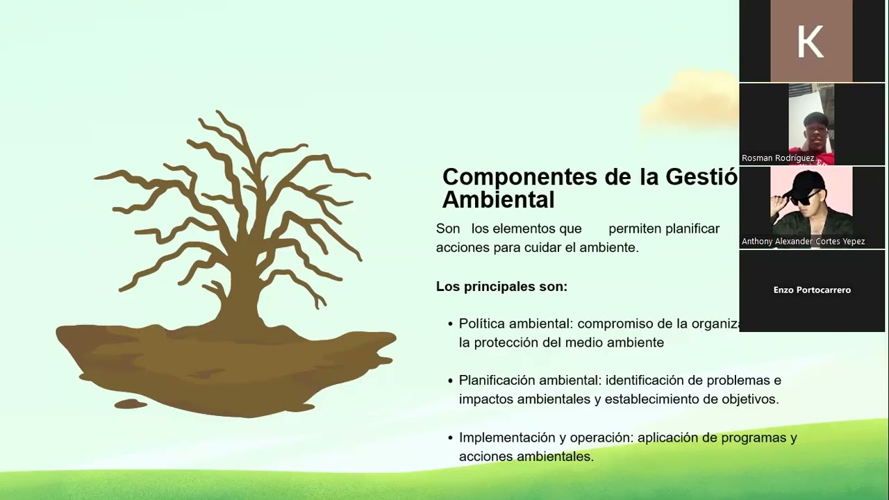 GRUPO 4     7MO B