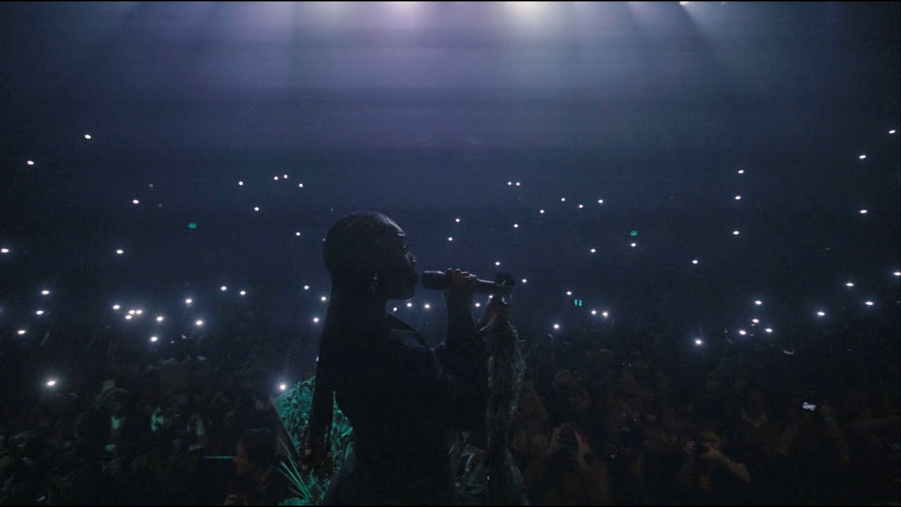 Alligator Bites Never Heal - Tour Mini Doc