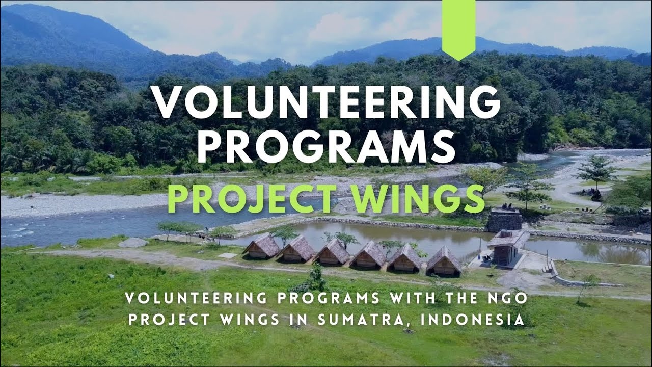 Project Wings Volunteering Programs in Bukit Lawang Sumatra
